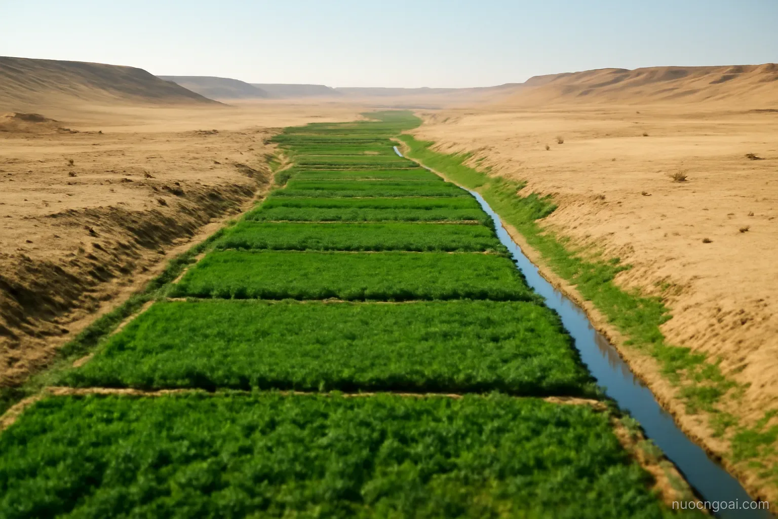 A narrow green floodplain hemmed by desert on both sides, irrigation channels cutting the fields
