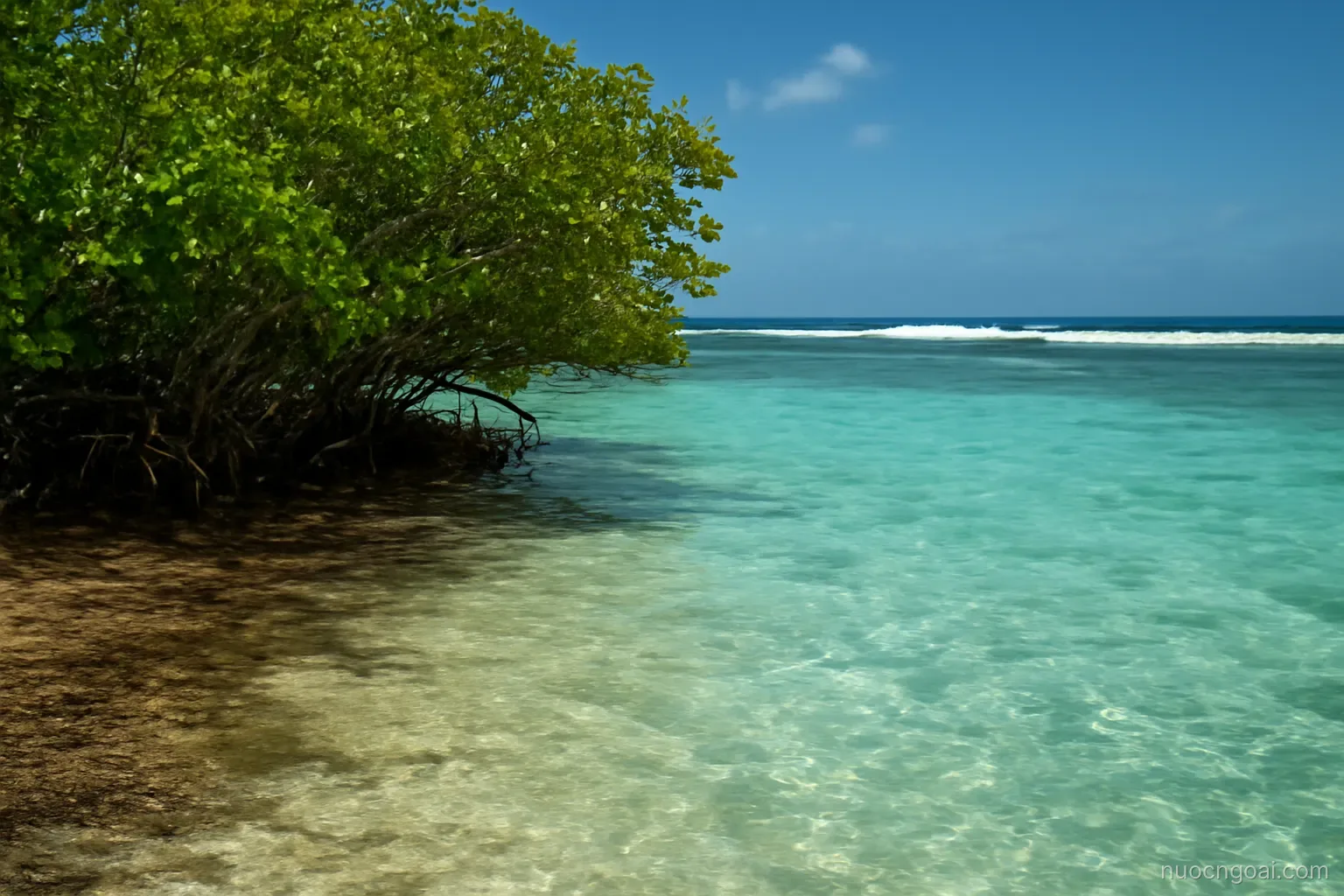 A low mangrove coastline with a shallow turquoise lagoon and a line of surf breaking on a distant reef