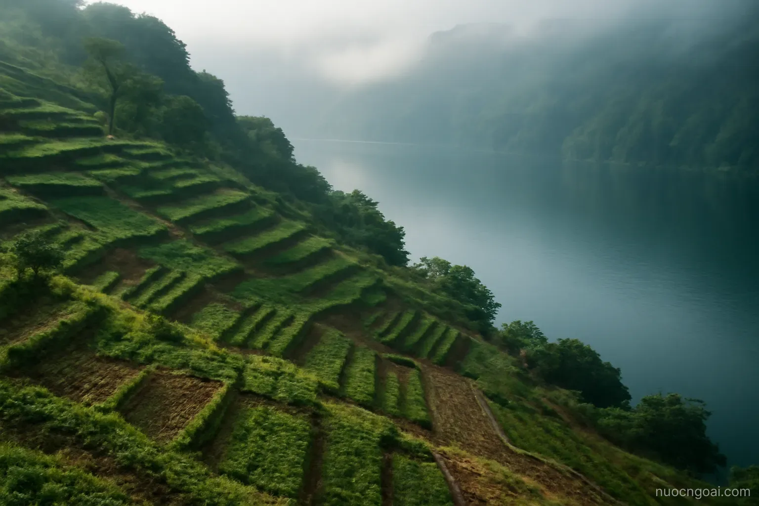 A steep hillside of small cultivated plots descending toward a deep lake under morning mist