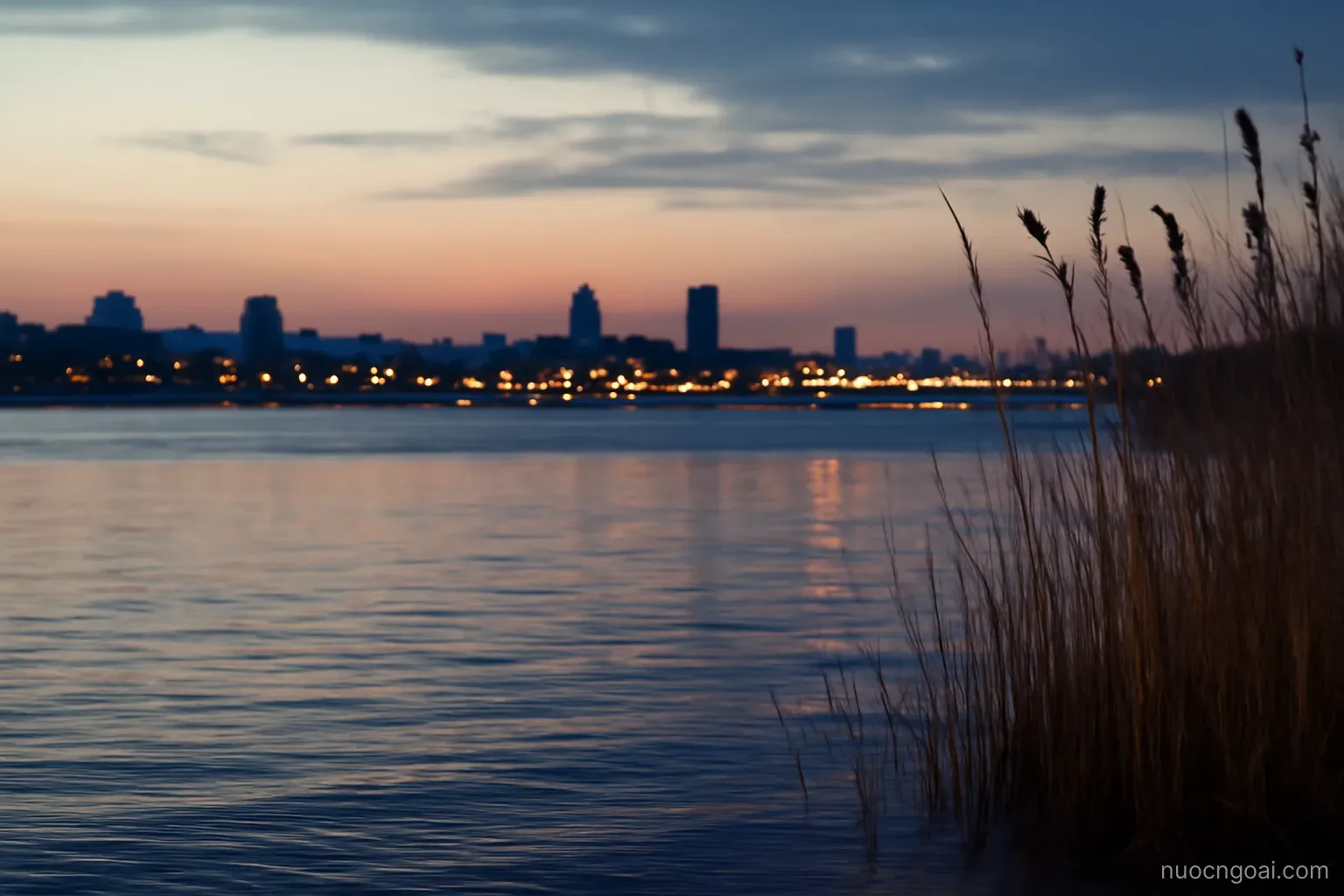 A broad river at dusk with the lights of a large city on the far bank and a near shoreline of tall reeds