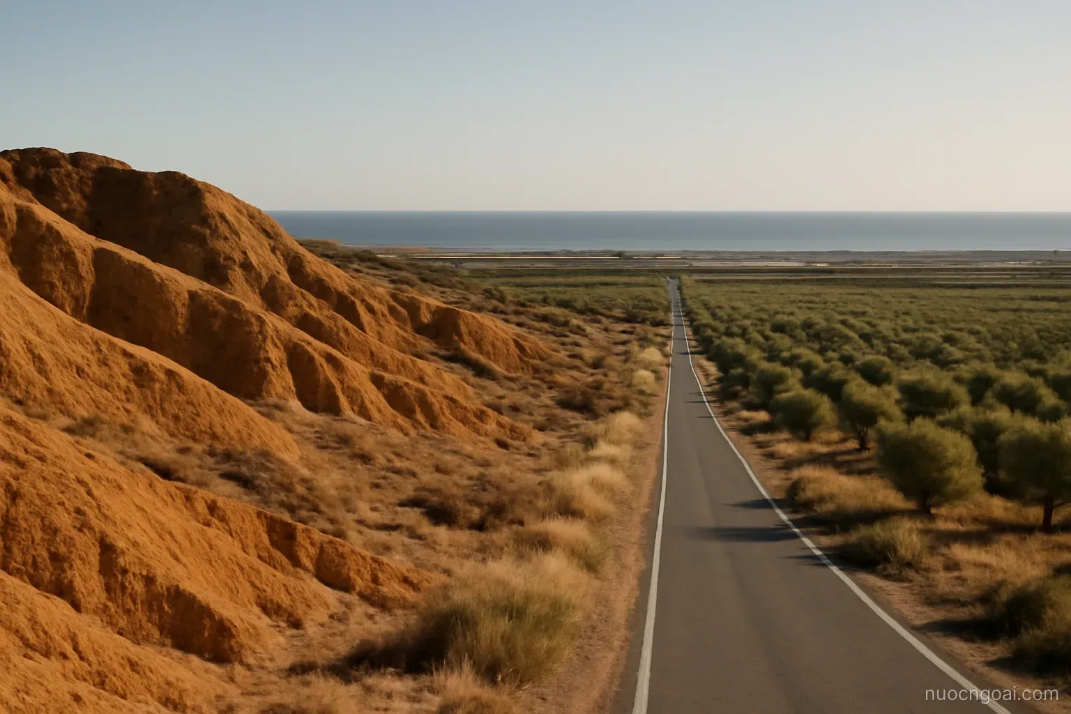 Dry ochre hills above a flat coastal plain, olive groves and a straight road running toward the sea