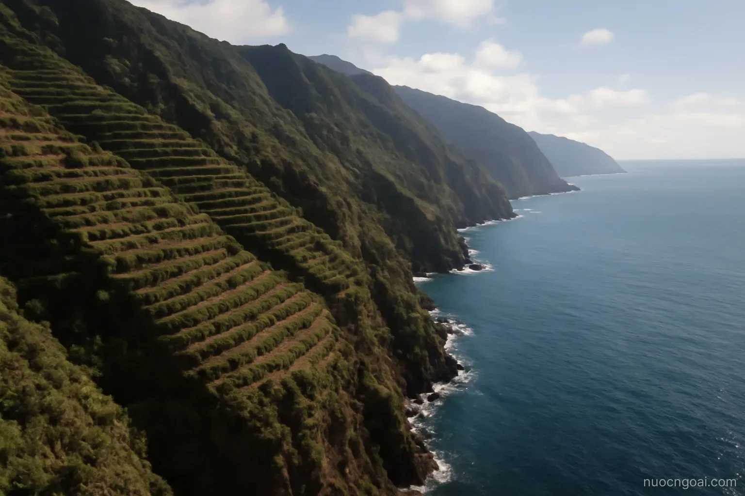 A steep coastal mountain range dropping straight into deep blue water with terraced coffee slopes above