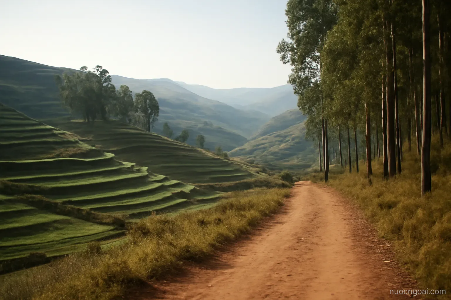 High plateau ridges terraced for farming, eucalyptus stands and a dirt track under thin bright air