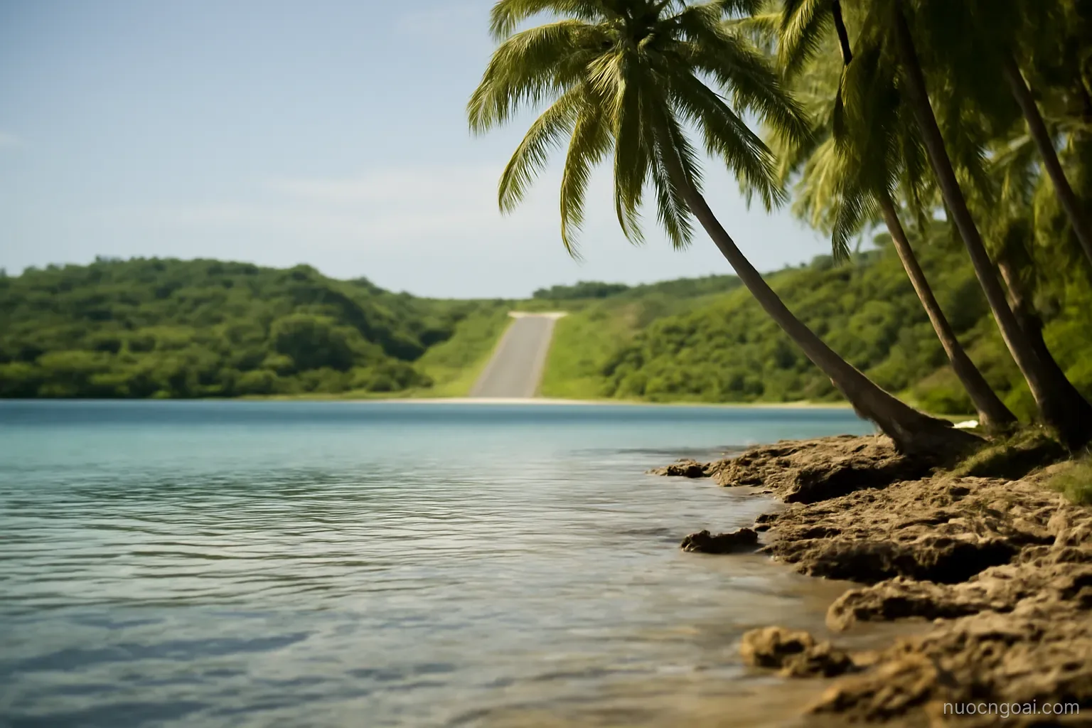 A low coral coast with palms bending over calm shallows, a small airstrip cut into green hills behind