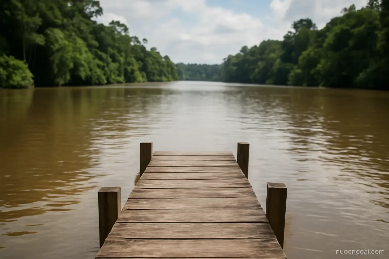 A wide brown river mouth with dense rainforest on both banks and a low wooden stelling jetty