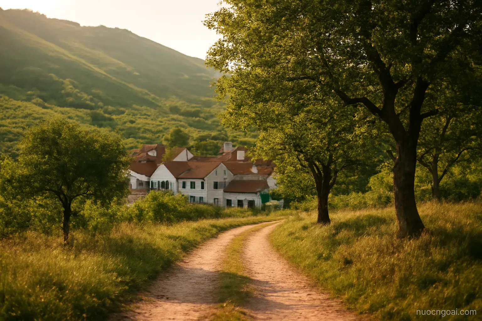 Gentle vine-covered hills above a small town of white houses, a dirt road and walnut trees in warm light