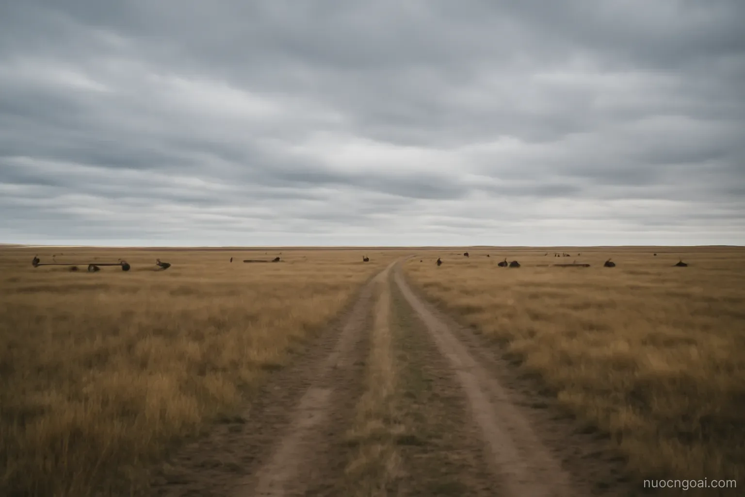 Open steppe running to a low horizon, a single track and scattered herds under a vast cold sky