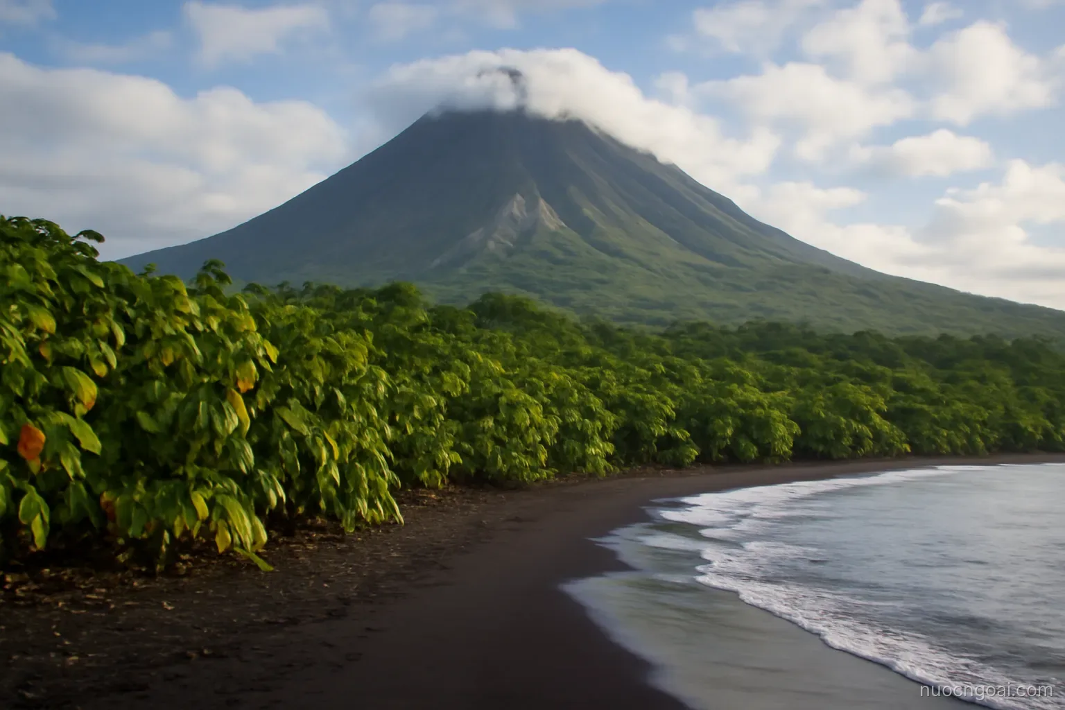 A volcanic peak wrapped in cloud above dense cocoa groves running down to a black sand shore