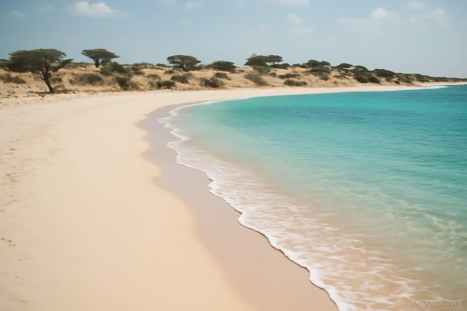 A long pale beach curving beside turquoise shallows with low dunes and scattered acacia inland