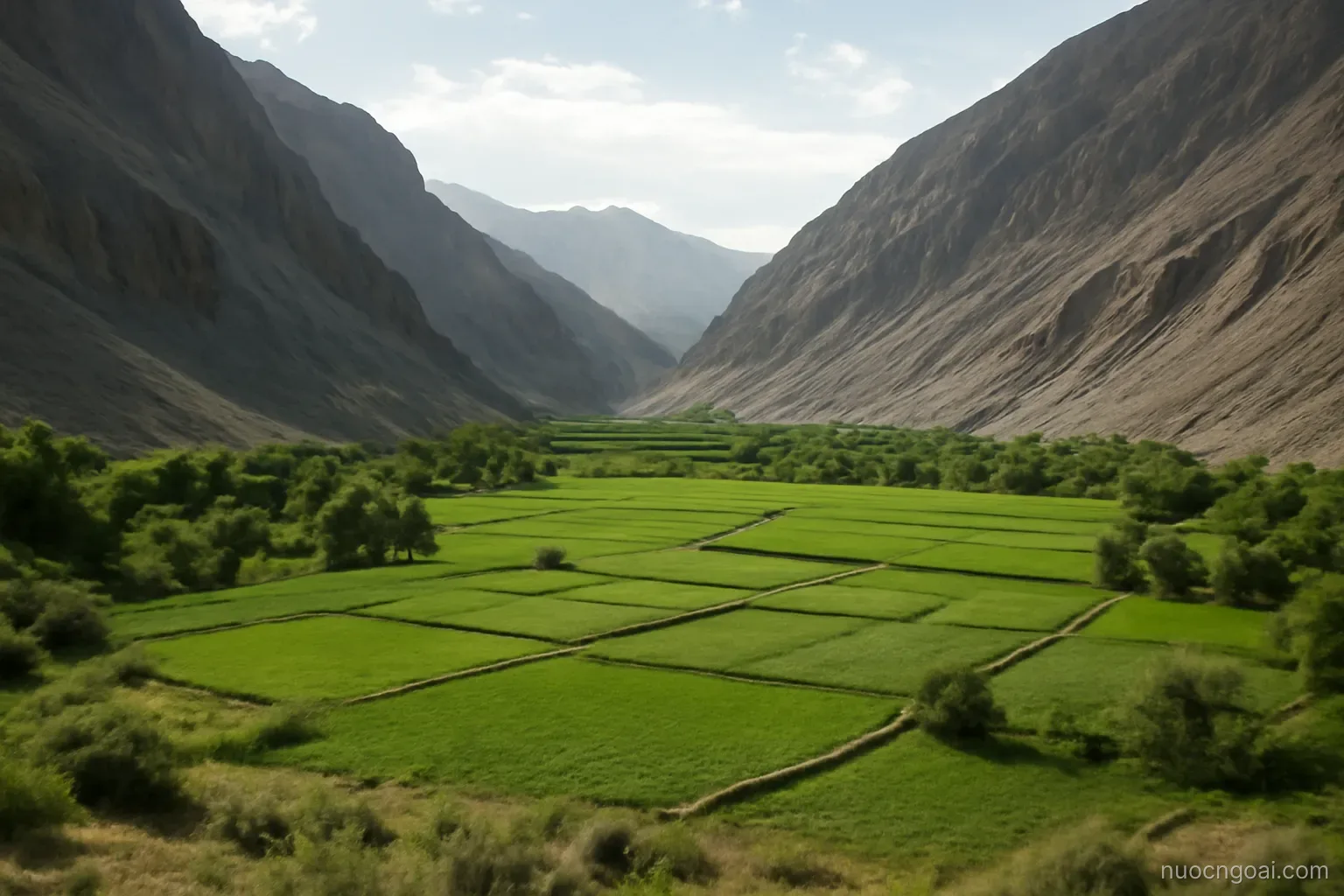A green irrigated valley floor hemmed by bare grey mountains rising steeply on both sides
