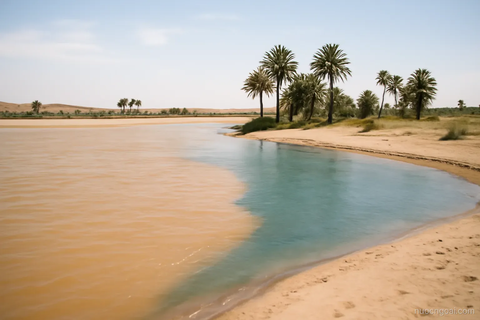 A wide sandy river confluence where two differently coloured waters meet, with flat desert banks and date palms